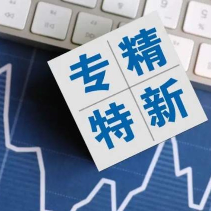 德瑪隆過濾設備公司獲得專精特新稱號